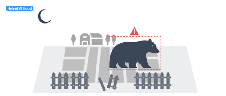 bear